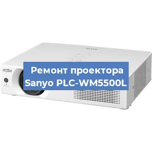 Замена поляризатора на проекторе Sanyo PLC-WM5500L в Красноярске